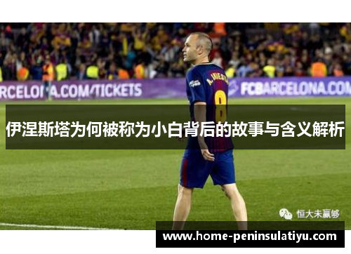 伊涅斯塔为何被称为小白背后的故事与含义解析