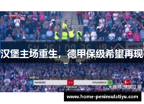 汉堡主场重生，德甲保级希望再现
