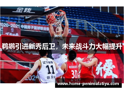 鹈鹕引进新秀后卫，未来战斗力大幅提升