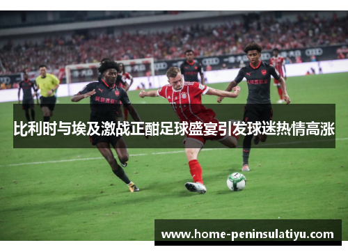 比利时与埃及激战正酣足球盛宴引发球迷热情高涨